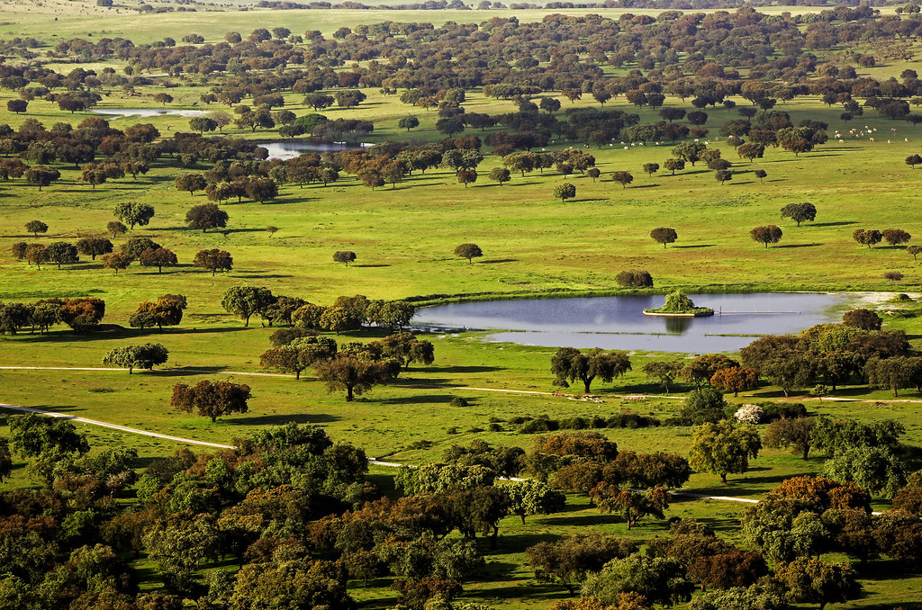 Alentejo prin ochii lui Joao Moreno 2022