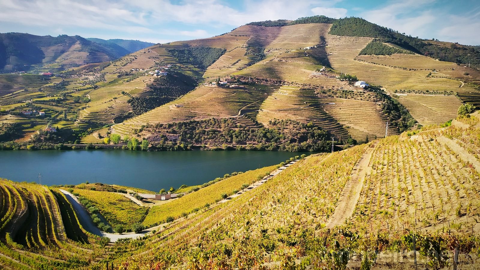 Ruta Vinului Porto È™i Douro 2022