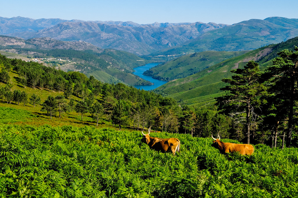 Un Tur al Parcului NaÈ›ional Peneda-GerÃªs 2022