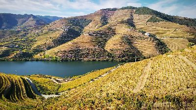 Ruta Vinului Porto și Douro